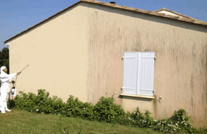 façade et murs