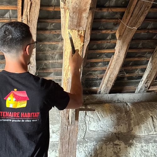 partenaire habitat charpente bois