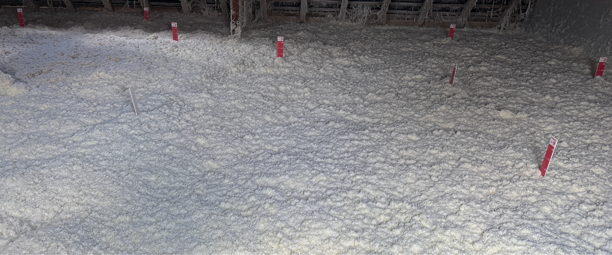 soufflage ouate de cellulose