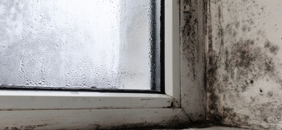 Problème d’humidité dans les murs de votre maison : causes, pathologies et solutions