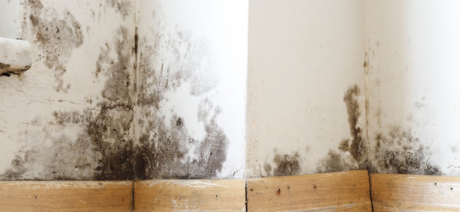 Comment traiter un mur humide à cause des remontées capillaires ?